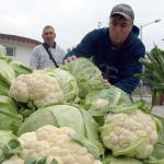 Българите обедняват, но не отказват цигари, алкохол, телефон