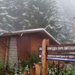 Министерство гарантира ски сезона на Витоша