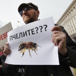 Пчеларите: Пестициди убиват масово пчелите